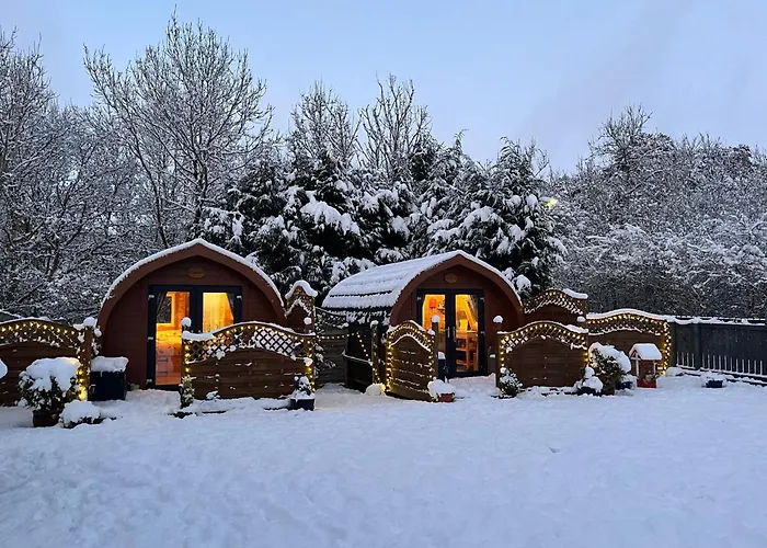 Conifer Cabins